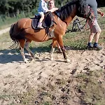 別荘 Zielony-bursztyn