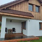Zielony-bursztyn