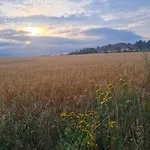 別荘 Zielony-bursztyn *
