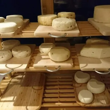 Zielony-bursztyn بيت للعطل *