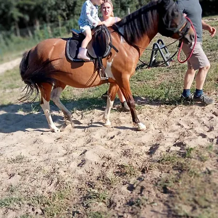 בית נופש Zielony-bursztyn