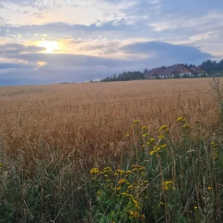 بيت للعطل Zielony-bursztyn *