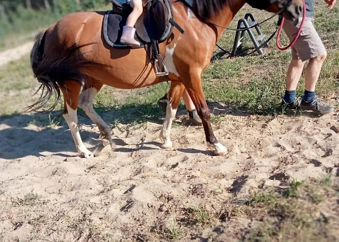 Дом отдыха Zielony-bursztyn