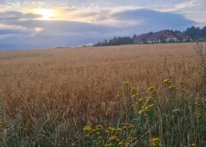 Дом отдыха Zielony-bursztyn *